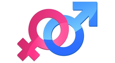 Promoção da Igualdade de Género